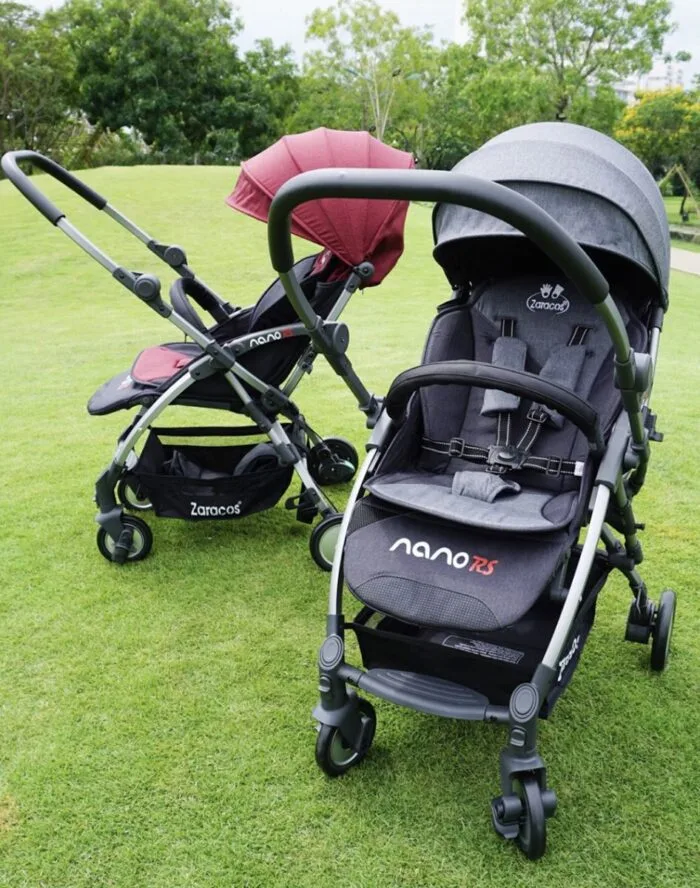 xe day gap gon nano rs 2986 1