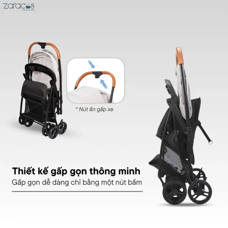 xe-day-zaracos-oral-2706-1