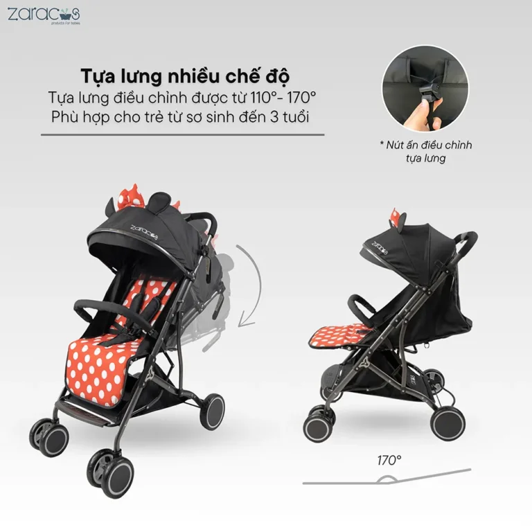 xe-day-zaracos-cavell-9036-1