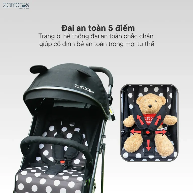 xe-day-zaracos-cavell-9036-6