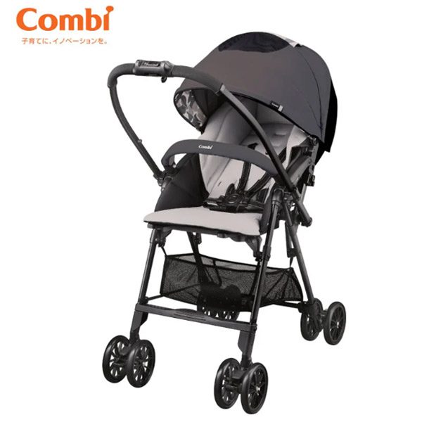 cac-dong-xe-combi-duoc-ua-chuong-nhat