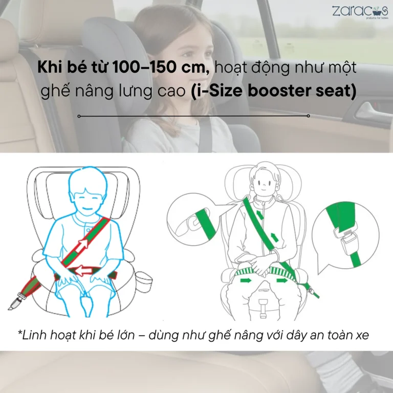 ghe-oto-zaracos-tobias-7076-4